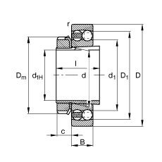 {(dio)S 1306-K-TVH-C3 + H306, (j) DIN 630  DIN 5415 (bio)(zhn)Ҫߴ, F׺;o